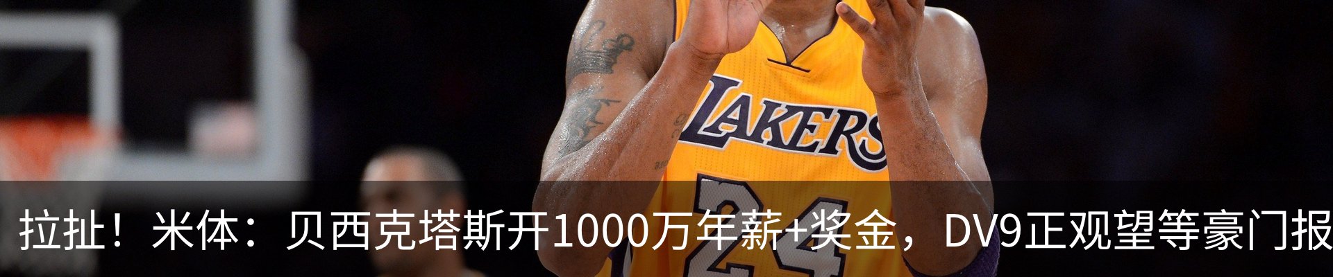新闻动态